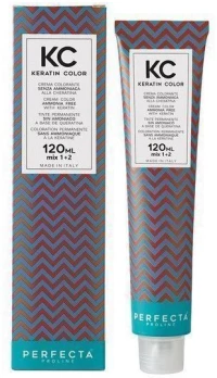 Perfecta Keratin Cream Color Βαφή Μαλλιών Χωρίς Αμμωνία 120ml - 10/1 Ξανθό Extra Ανοιχτό Σαντρέ