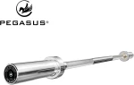Ολυμπιακή Μπάρα Φ50 28mm 13kg Pegasus