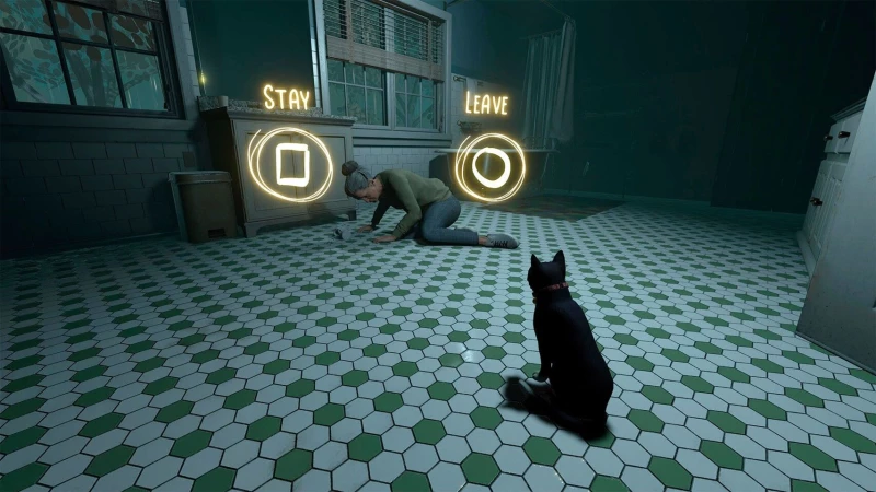Copycat / PlayStation 5