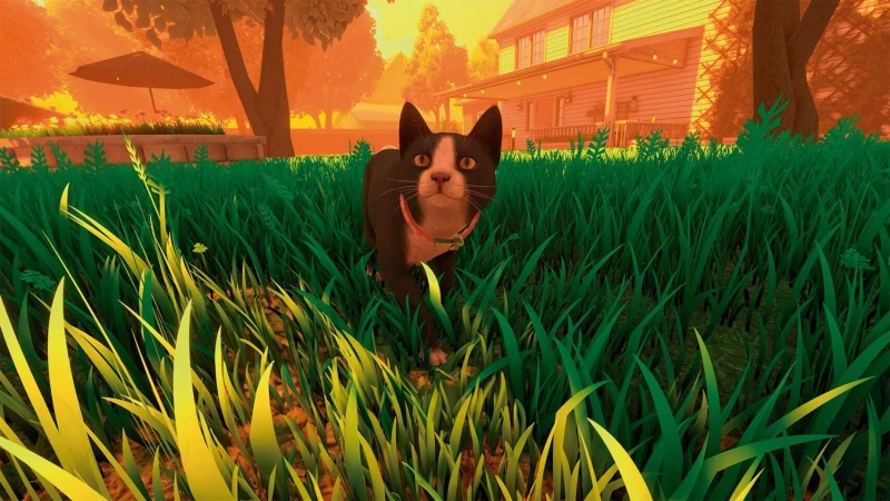 Copycat / PlayStation 5