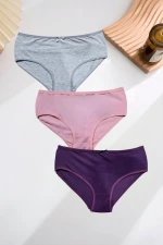 Γυναικεία Βαμβακερά Σλιπ σε Μεγάλα Μεγέθη 3Pack D1004 - ΠΟΛΥΧΡΩΜΟ