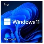 Microsoft Windows 11 Pro, Operating System Software, 64-bit (FQC-10528)