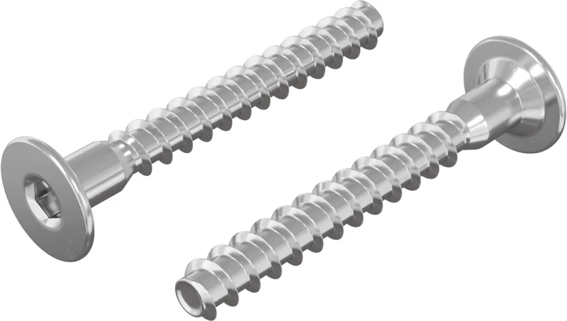 vidaXL Βίδες Επιβεβαίωσης 2 pcs Ασημί Ø5 x 40 mm Μέταλλο