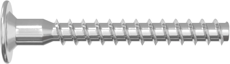 vidaXL Βίδες Επιβεβαίωσης 2 pcs Ασημί Ø5 x 40 mm Μέταλλο