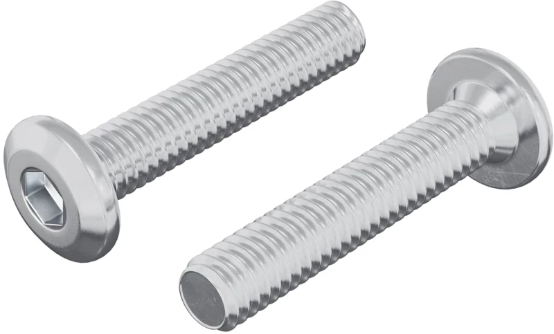 vidaXL Βίδα με κλειδί κεφαλής 2 pcs Ασημί M6 x 30 χιλ. Ατσάλι