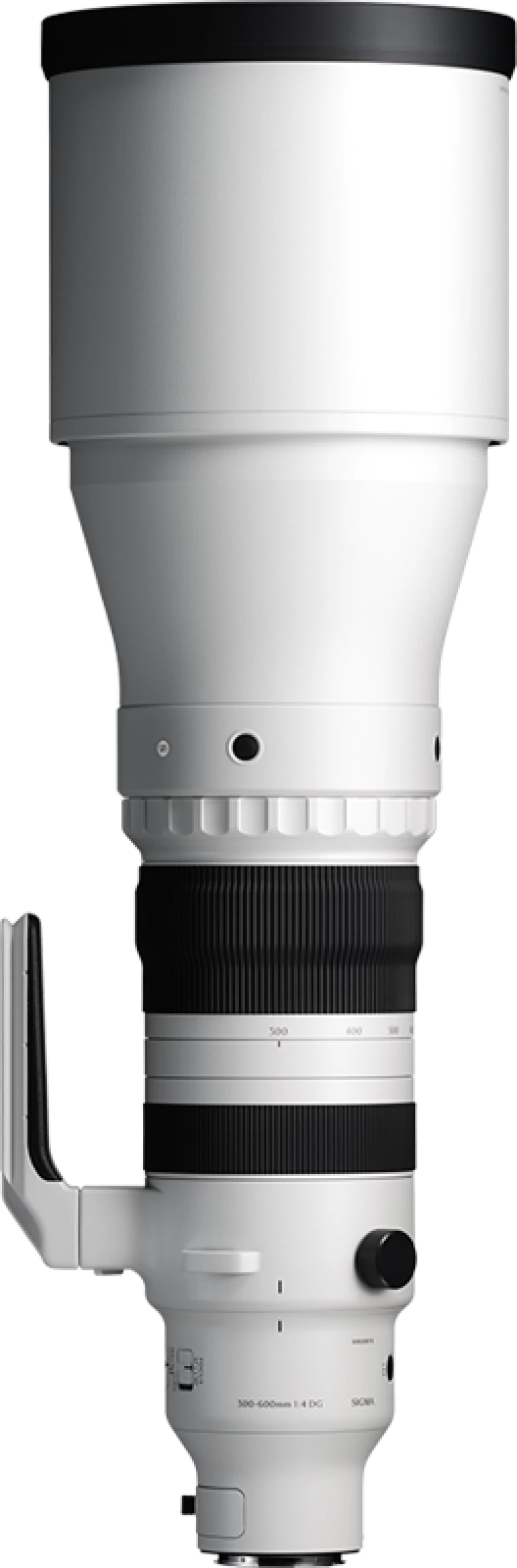 Sigma 300-600mm F4 DG OS Sport L-mount