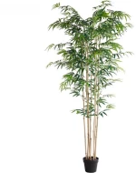 BAMBOO  NP0070_210 ΥΨΟΣ 210cm |
