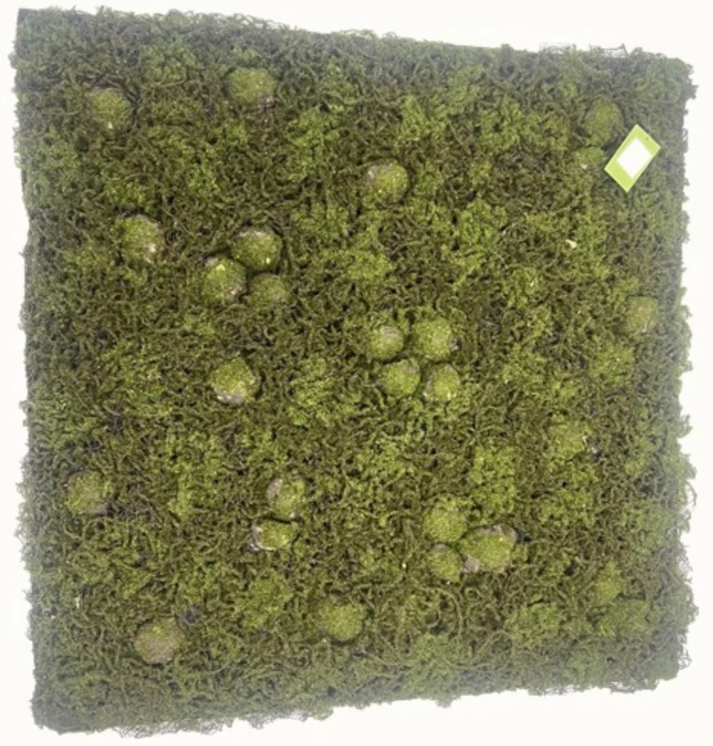 Supergreens Τεχνητή Φυλλωσιά Moss "Bryo-Forest" Πράσινη 100x100 εκ.