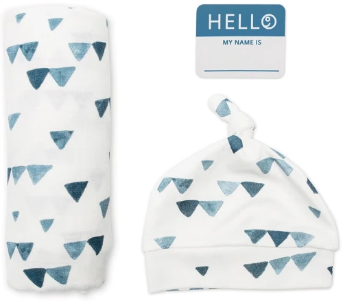 Hello World – Navy Triangles