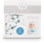 Hello World – Navy Triangles