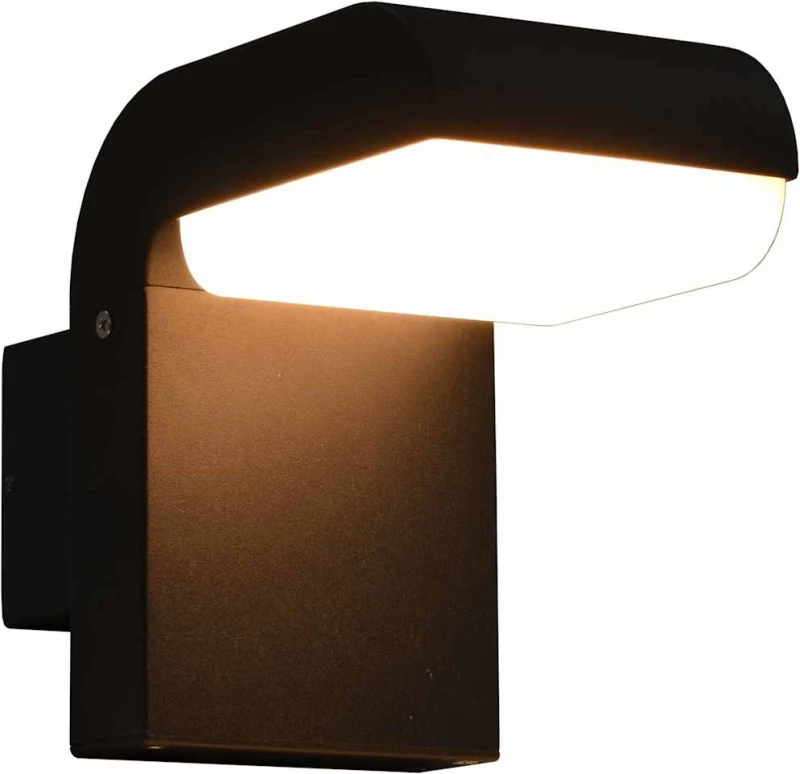 Εξωτερικό Φωτιστικό Τοίχου LED 9 W Μαύρο Οβάλ |45652
