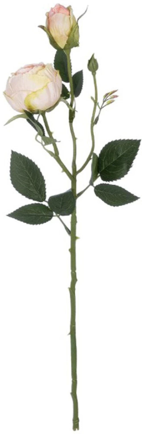 Τεχνητό Λουλούδι Damask Climbing Rose 21198 55cm Champagne GloboStar Πολυαιθυλένιο,Ύφασμα