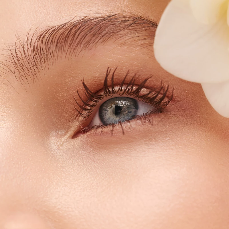 GARDEN Panorama Mascara 301 Brown Μάσκαρα για Πυκνές Βλεφαρίδες 8.5ml