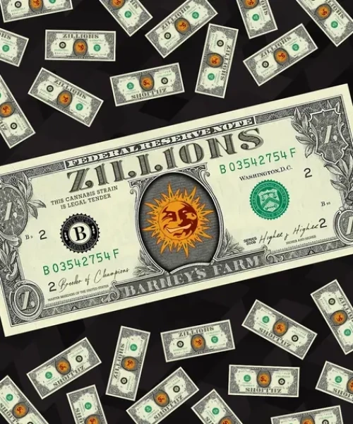Barneys Farm Zillions