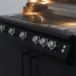Brabura Εντοιχιζόμενη Ψησταριά Fusion 500 RM