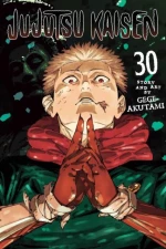 Jujutsu Kaisen: vol 30