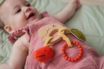 Baby To Love Παιχνίδι Δραστηριοτήτων 0+ Dino Friends