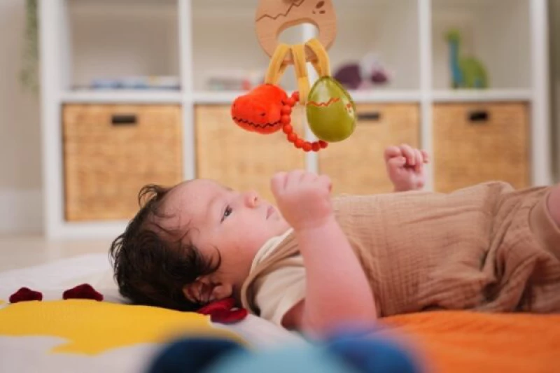 Baby To Love Παιχνίδι Δραστηριοτήτων 0+ Dino Friends