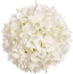 Ορτανσία Μπάλα 85926 White