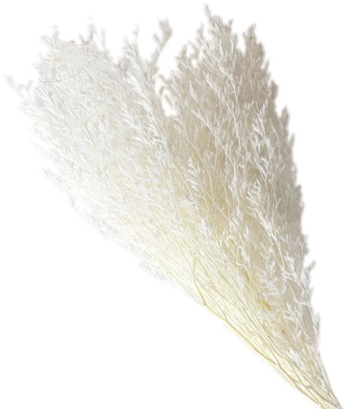 Αποξηραμένο Λειμώνιο 00-68905-5 70cm 120gr White Marhome