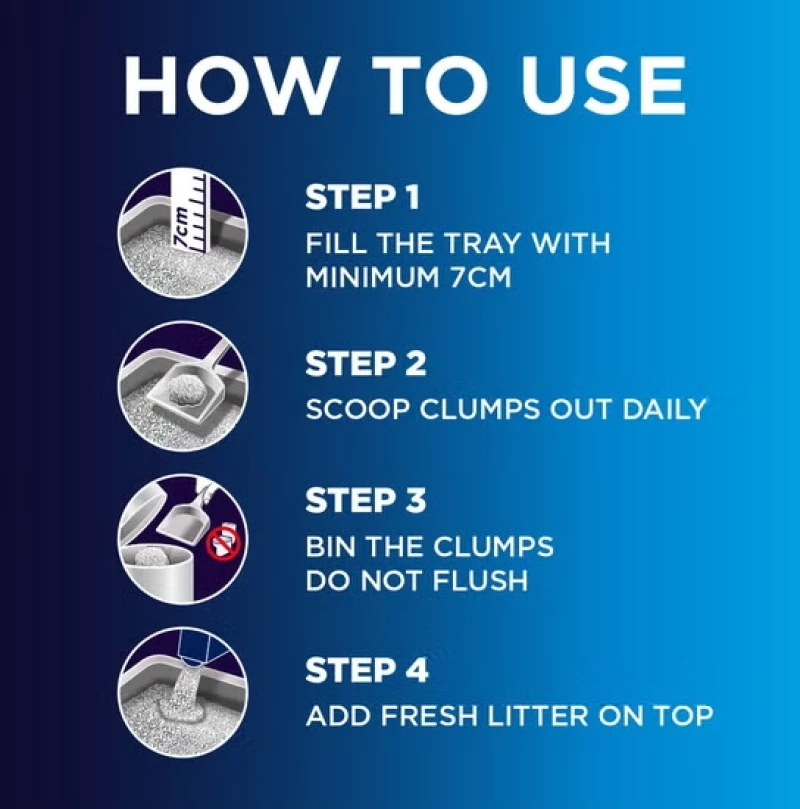Everclean Senior +7 20lt