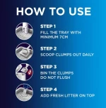 Everclean Senior +7 20lt