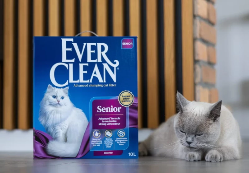Everclean Senior +7 20lt
