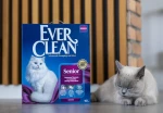 Everclean Senior +7 20lt