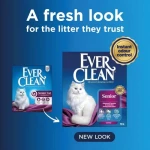 Everclean Senior +7 20lt